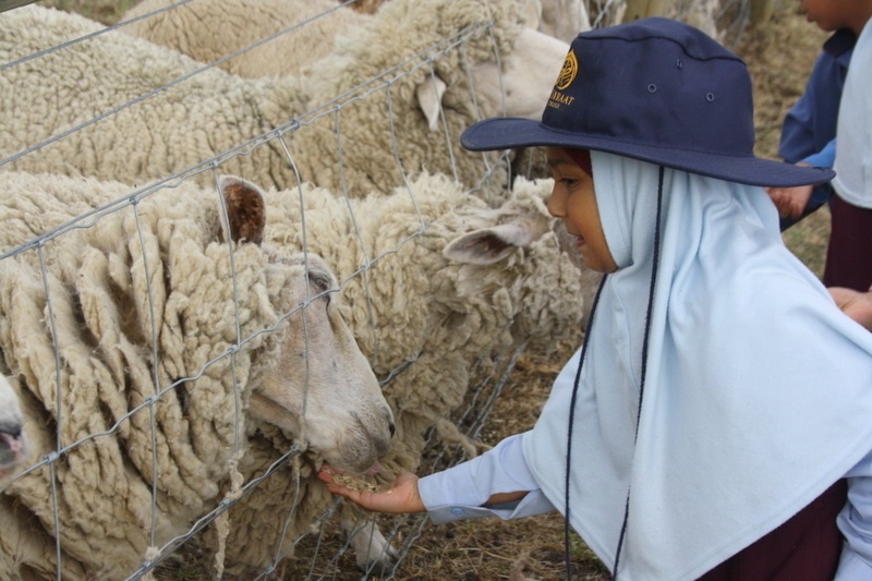 Year Foundation Excursion to Bundoora Farm